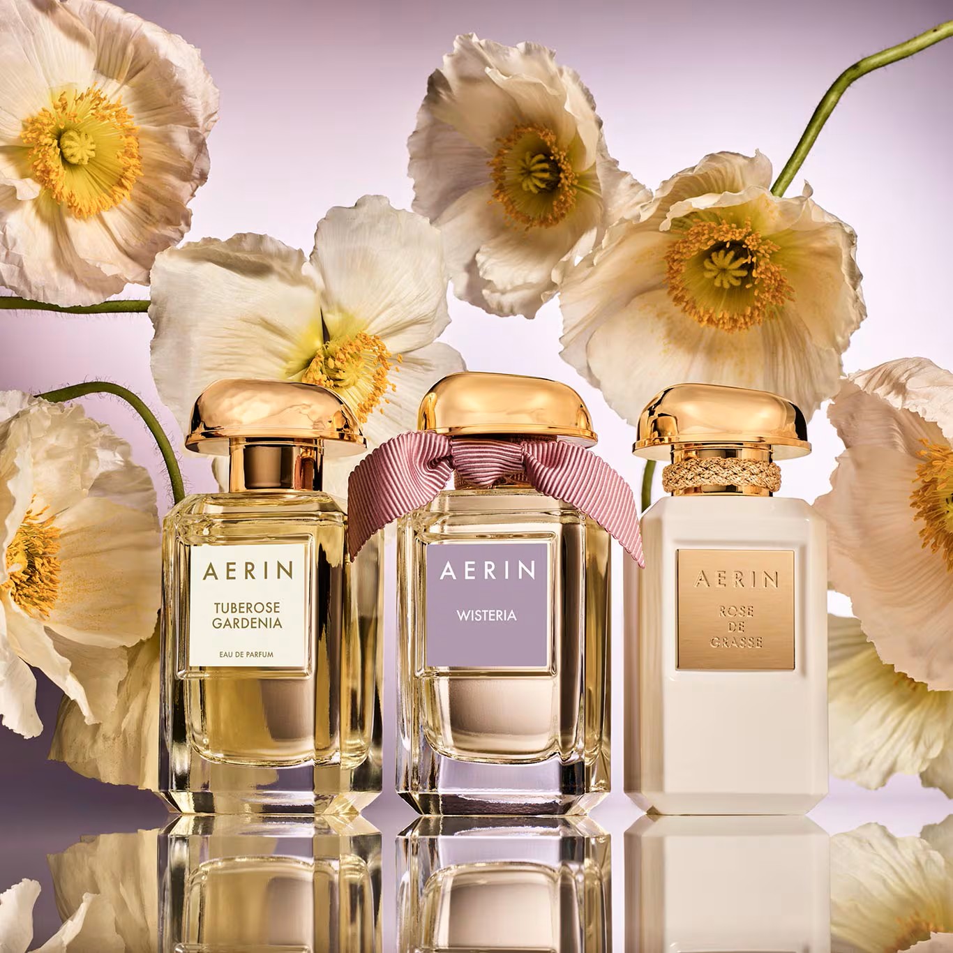 AERIN COLLECTIONS